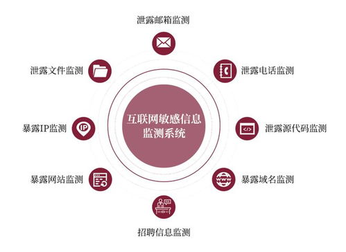 金融信息科技外包導(dǎo)致敏感信息泄露風(fēng)險(xiǎn)上升 看raysin來支招